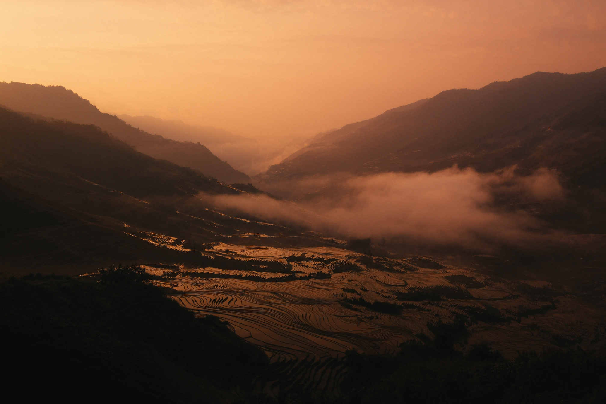 Misty terraced rice fields in Sapa